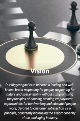 vision